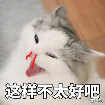 23.jpeg