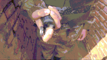 12.gif